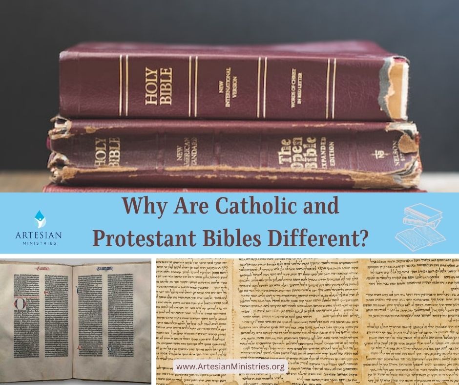 Why are Catholic and Protestant Bibles Different?