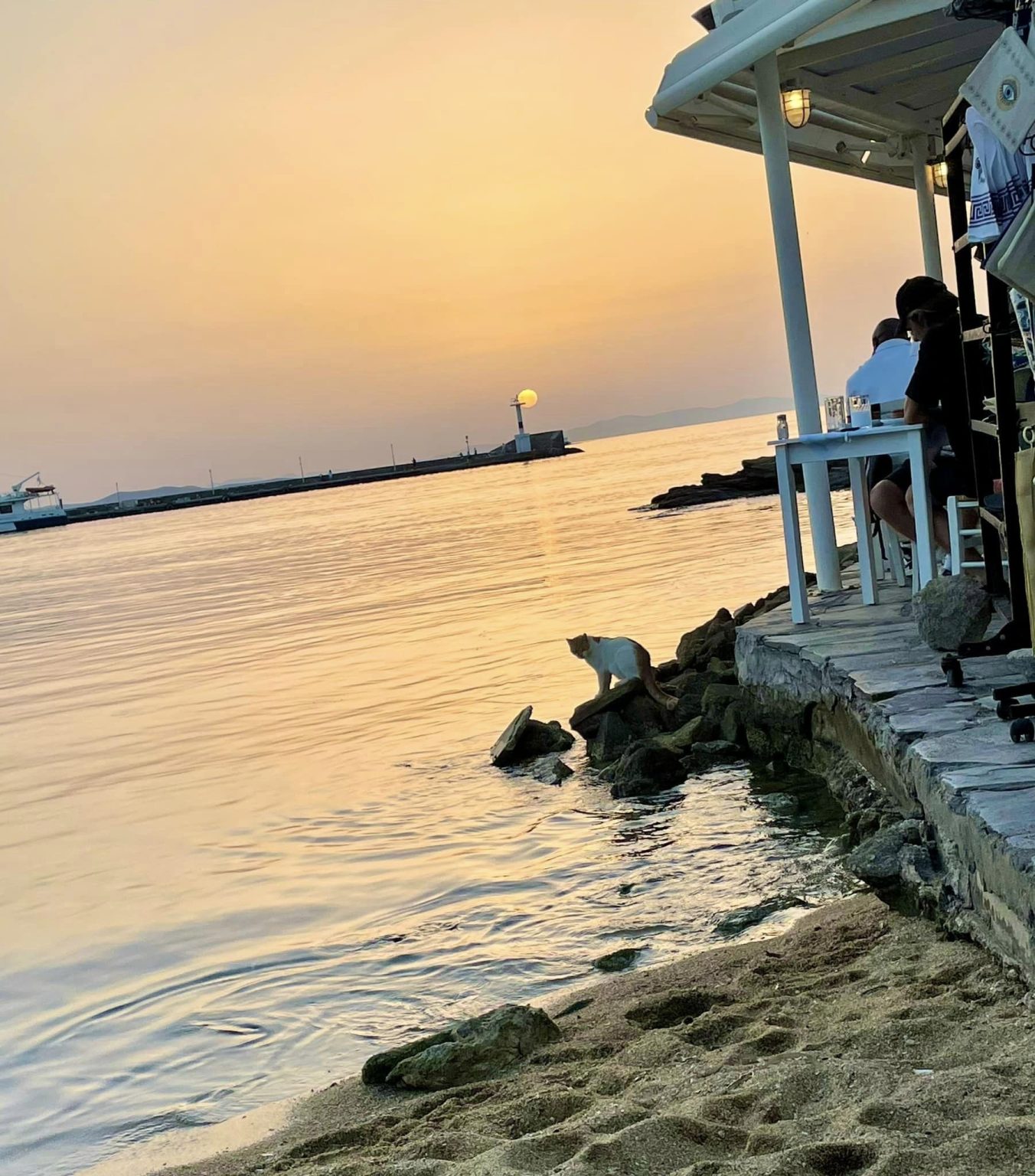 What Does the Bible Say About Sunrise and Sunset? - Artesian Ministries