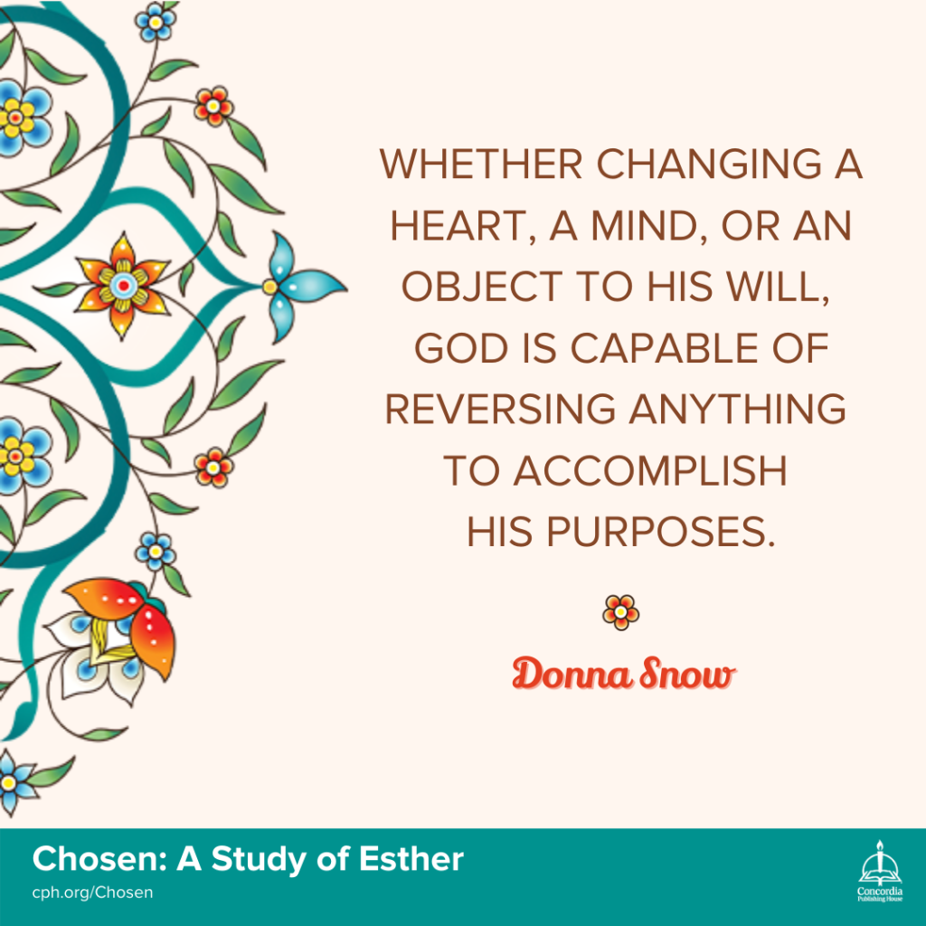 Chosen-Bible-Study-on-Esther