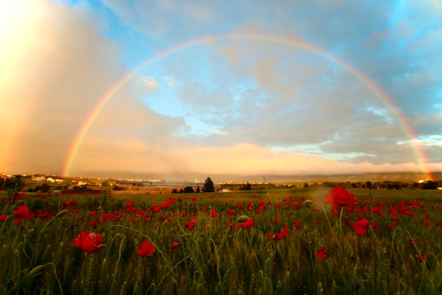 rainbow blessings