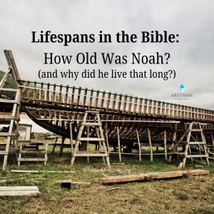 How old was Noah when he died?