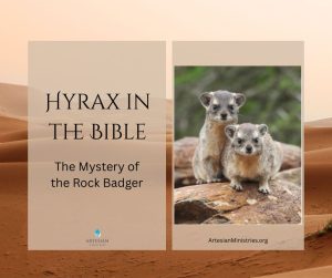 Hyrax in the Bible