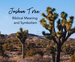 Joshua Tree Biblical Meaning
